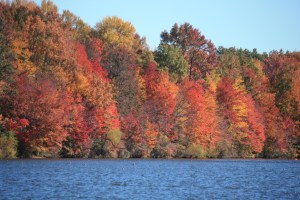 Color at Mercer County Park