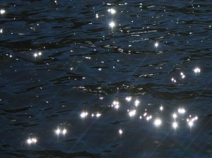 Sparkles of sunlight at Mercer County Park